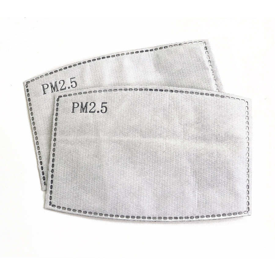 Replacement PM2.5 Filters